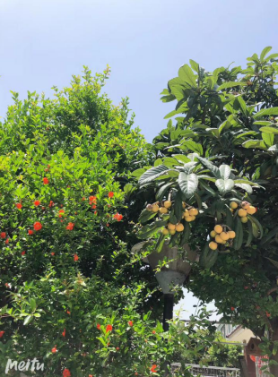 五月阳光：苏州尚想心理昆山中心开了！